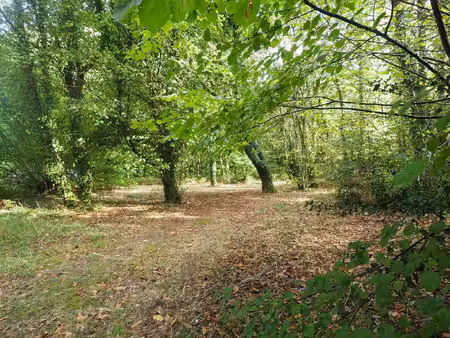 une maison dans la forêt