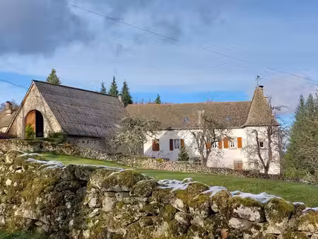 propriété de caractère d'environ 10ha90 dont une partie du fo