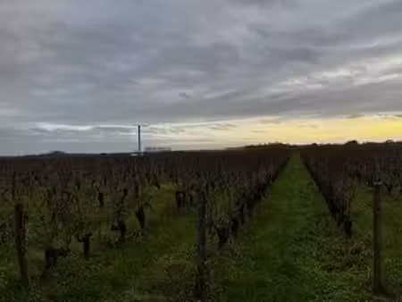 à vendre 3 ha 19 a 35 ca de vignes en agriculture biologique