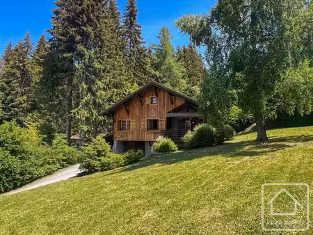 chalet 7 chambres  3 salle de bain  garage  abri voiture et jardin au pied de la...