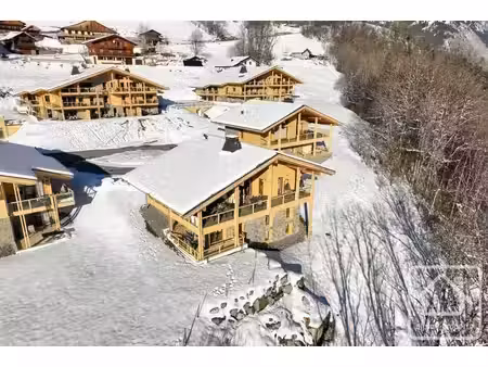 un magnifique chalet moderne construit selon des spécifications élevées  dans un endroit..