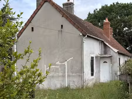 maison de campagne sur 1300 m2 58250 fours