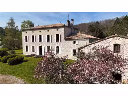 demeure de caractère avec dépendances  piscine et four à pain - montcaret