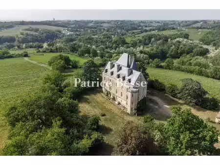 en gironde  dans l'entre-deux-mers  un château néogothique au-dessus des vignes  dans un..