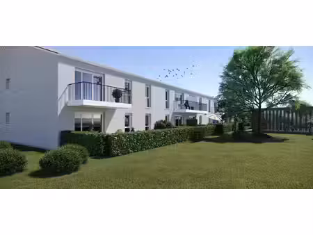 mona nova angles