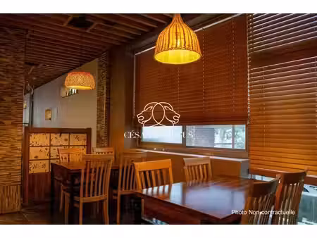 vente commerce saint martin d heres 38400 334m²