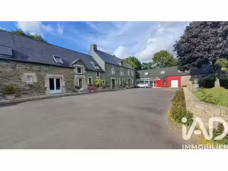 vente maison/villa 29 pièces
