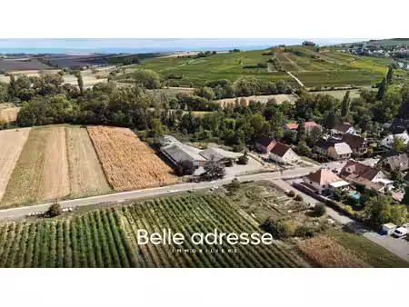 odratzheim - ensemble immobilier professionnel sur 43 ares