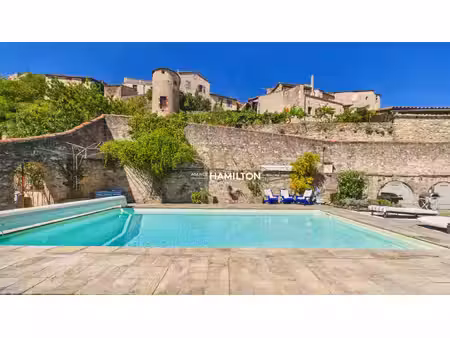 maison avec vue magnifique en coeur de village - jardins  piscine  garage