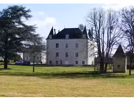 vente manoir 0 pièces 450 m² à montmorillon (86500)  895 000 €