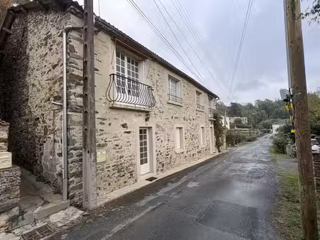 maison meublée à mouchamps et un beau jardin 2 chambres 670