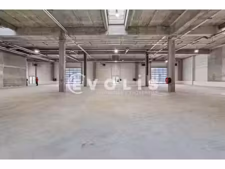 location local d’activités vitry sur seine 94400 1402m²