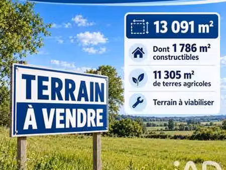 vente terrain à saint-laurent-de-céris (16450) : à vendre / 13091m² saint-laurent-de-céris