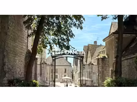 chartres historique - appartement à l'élégance d'autrefois vue cathédrale