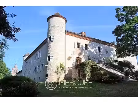 château à vendre à gimont