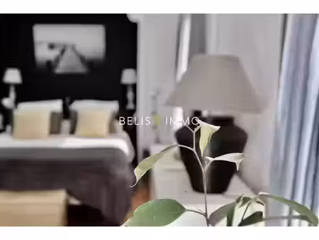 coeur de ville de chinon