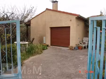 maison avec garage et jardin