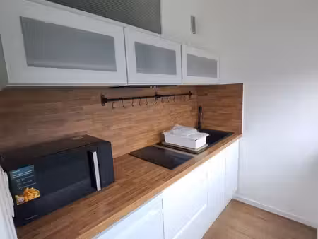 studio 1 pièce 26 m²