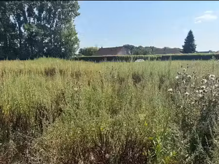 vente terrain 500 m² à villers-ecalles (76360)  78 000 €