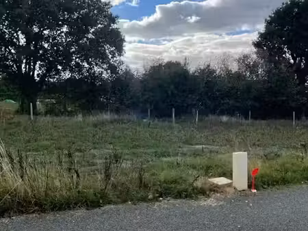 vente terrain 571 m² à andigné (49220)  68 520 €