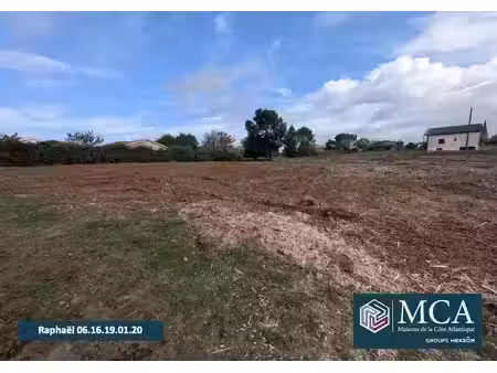 vente terrain 1000 m² à landiras (33720)  85 000 €