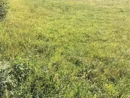 vente terrain 940 m² à polliat (01310)  95 000 €