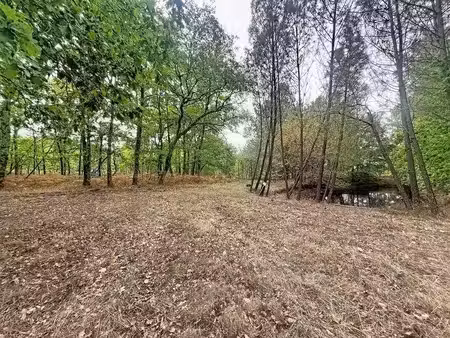 vente terrain 182792 m² à laruscade (33620)  155 875 €
