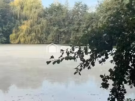 vente terrain 32000 m² à saint-denis (89100)  197 000 €