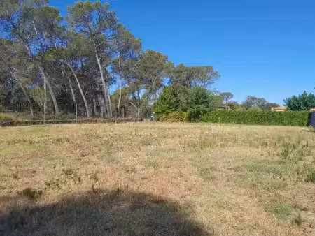 vente terrain 1090 m² à le cannet-des-maures (83340)  180 000 €
