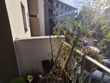 grand t1 37 m2  avec balcon  cave et parking privatif