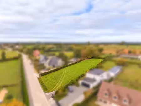 terrain