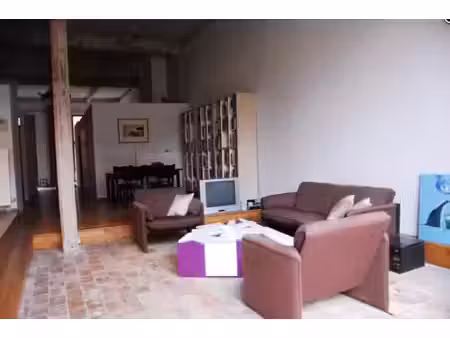 loft grand et moderne avec jardin et terrasse bien situé