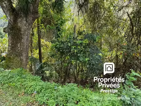 vente terrain 4000 m² à pointe noire (97116)  356 000 €