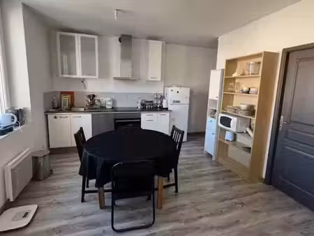location meublée appartement 2 pièces 50 m² à villeurbanne (69100)  800 €