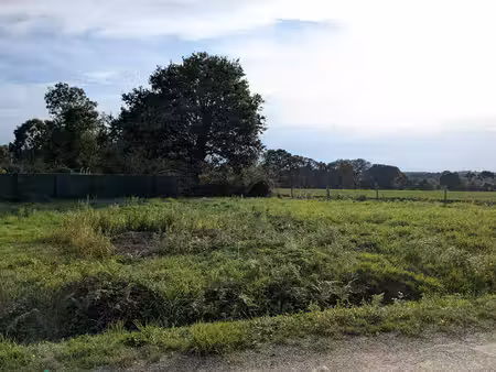 terrain saint guyomard 670 m2