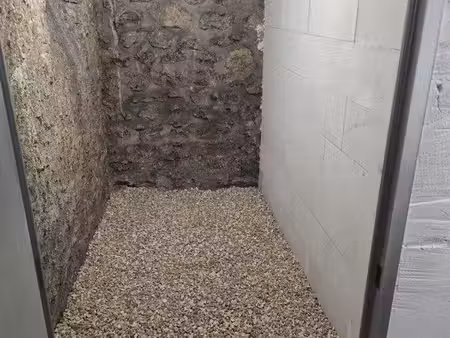 à louer : cave rénovée  saine et sèche  rue bouchut  paris 15e (proche breteuil)