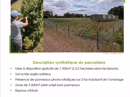 mise à disposition d'une parcelle agricole - 1000m2 à 2 5 ha