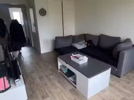 appartement 2 pièces 46m2 (chauffage collectif et eau chaude entre dans les charges)
