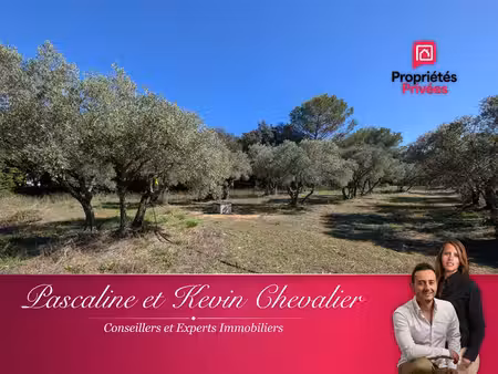 à vendre - terrain 3200m² en zone artisanale à grans (13)