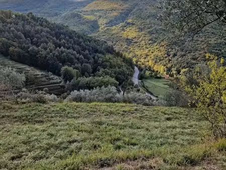vente terrain à de loisir à sospel 2000m2 proche village accès véhicule  eau électricité v