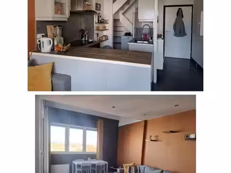 appartement en duplex 3 pièces 58 m²  plein centre-ville