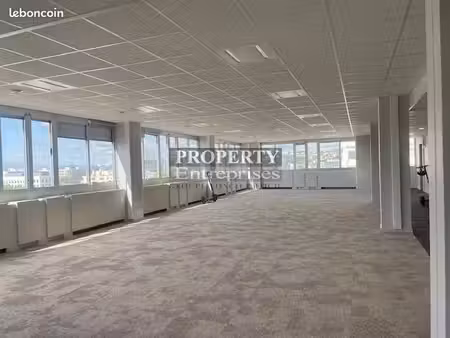 bureaux 2470 m² lyon
