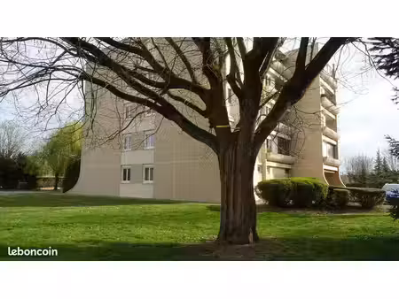 chevigny st sauveur bel appartement t2