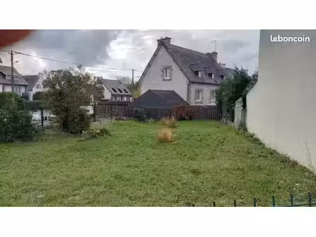 terrain constructible