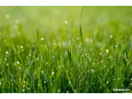 terrain 1 200 m² merillac