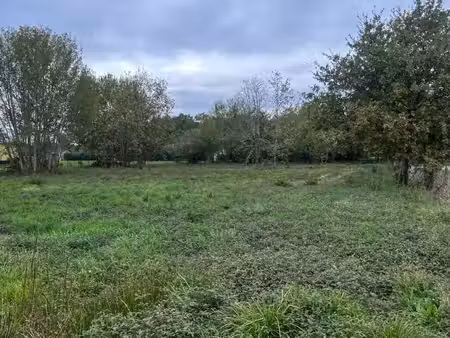 terrain 1 335 m² montpon menesterol