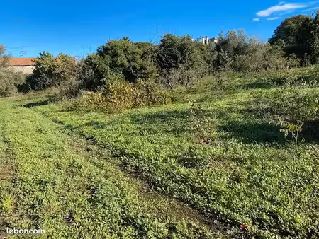mus   terrains à bâtir