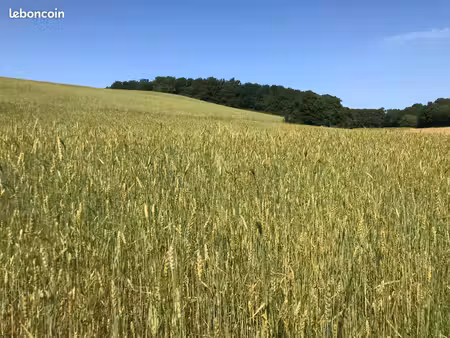 vend 12 28ha de terre agricole