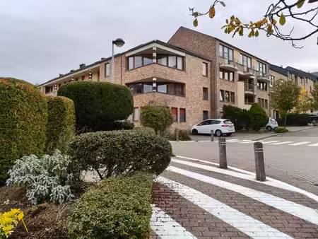 lumineux duplex 1 ch avec terrasse- quartier des bruyères