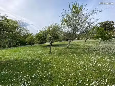 terrain 1 250 m² saint selve